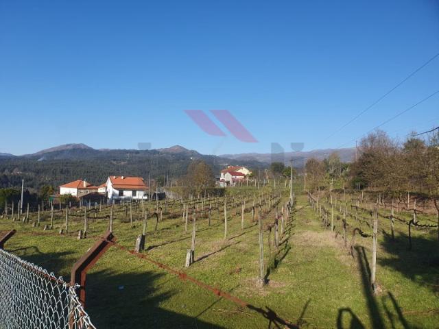 Terreno venda em Arcos De Valdevez, Viana Do Castelo