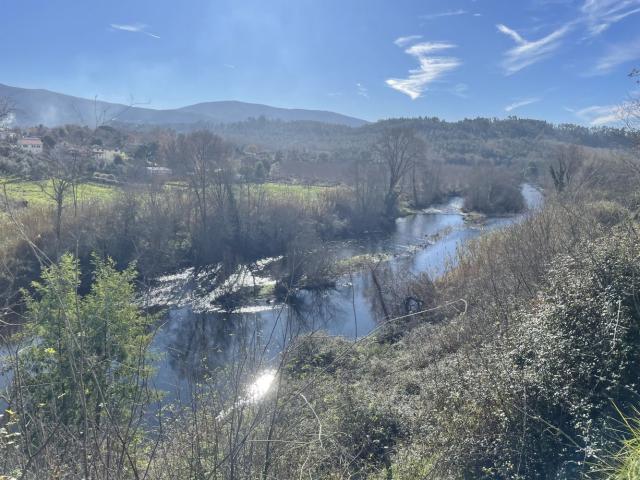 Terreno venda em Arganil, Sarzedo