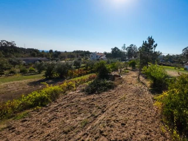 Terreno venda em Valcanosa, Montemor-o-velho