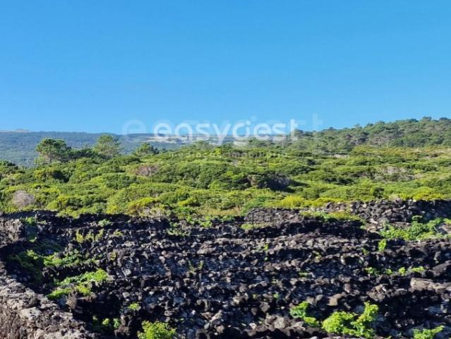 Terreno venda em Açores, São Roque Do Pico