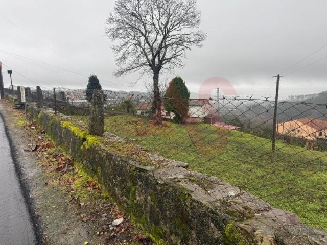 Terreno venda em Felgueiras, Idães