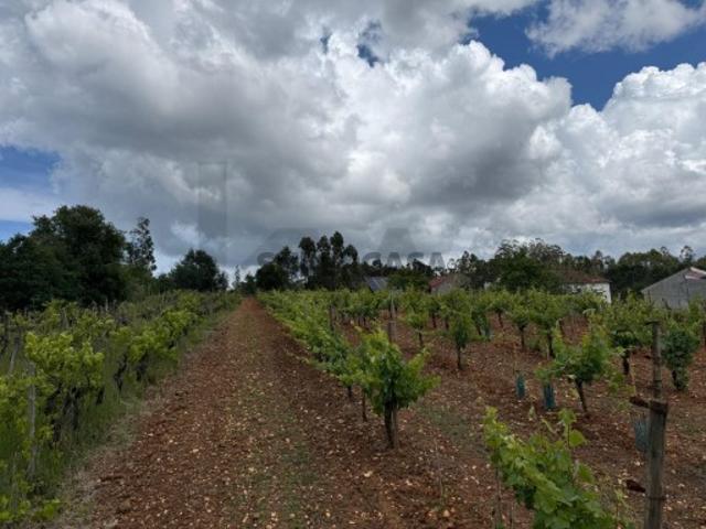 Terreno venda em Coimbrã, Vil De Matos
