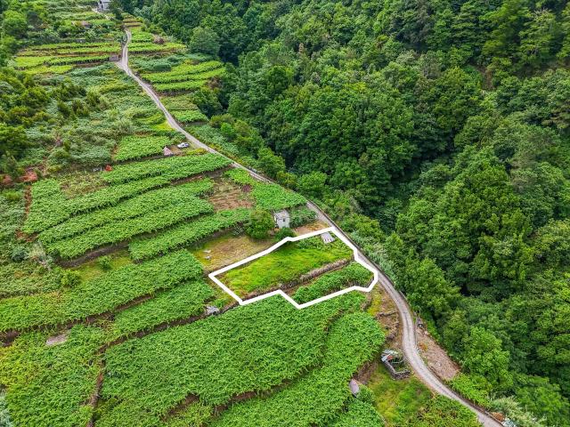 Terreno venda em São Vicente, Ilha Da Madeira