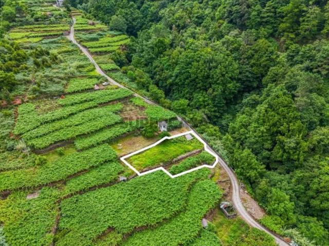 Terreno venda em São Vicente, Ilha Da Madeira