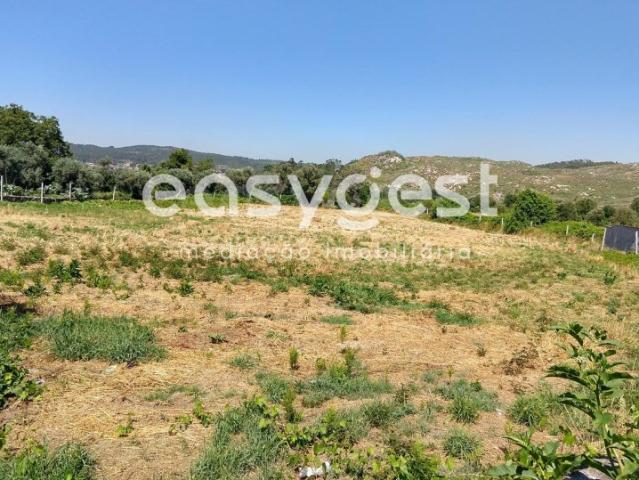 Terreno venda em Bodiosa-a-Nova, Viseu
