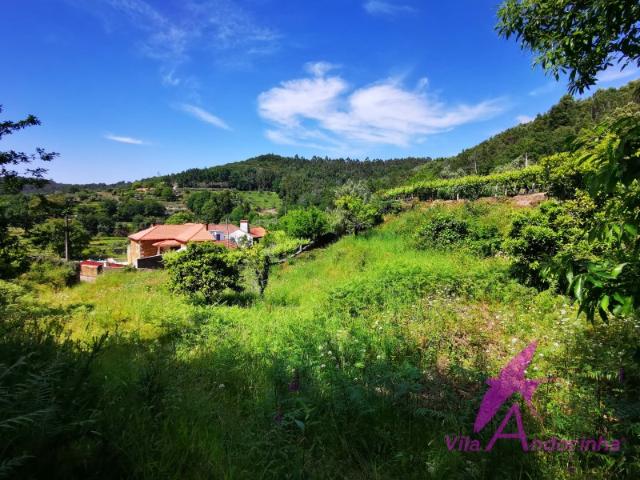 Terreno venda em Montaria, Torre