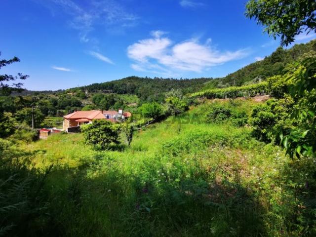 Terreno venda em Viana Do Castelo
