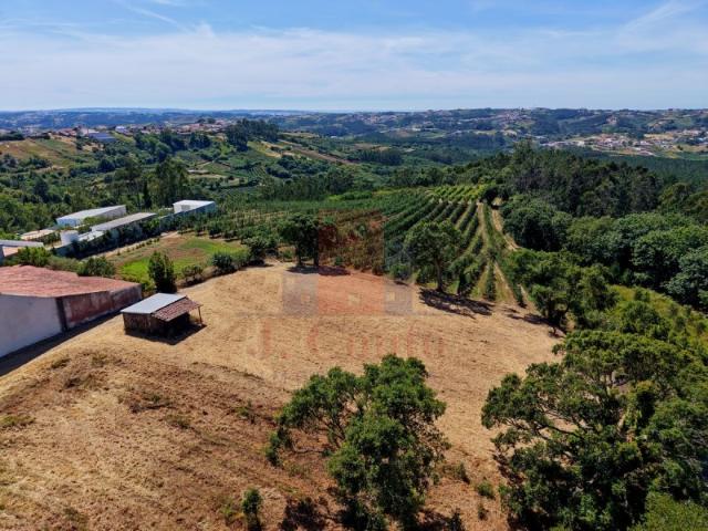Terreno venda em Alcobaça, Leiria