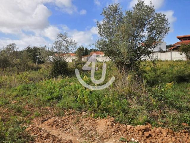 Terreno venda em Alcobaça, Leiria