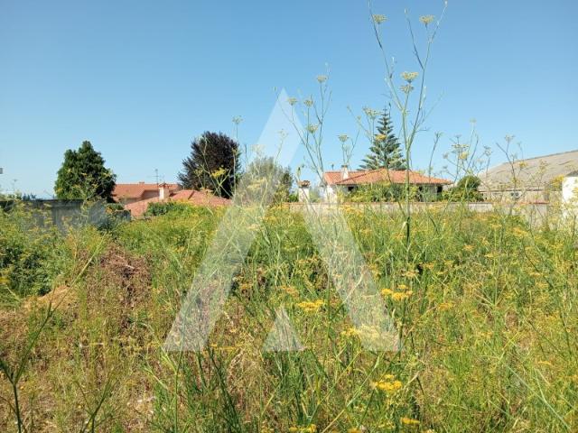 Terreno venda em Areosa, Areosa
