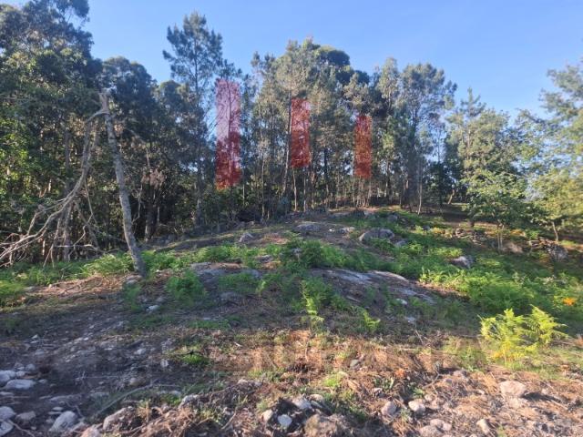 Terreno venda em Arcos De Valdevez, Viana Do Castelo