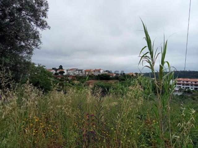 Terreno venda em Leiria