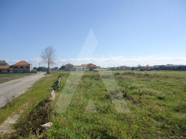 Terreno venda em Quinta do Casal, Aveiro