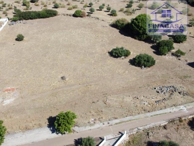 Terreno venda em Assunção, Ajuda, Salvador e Santo Ildefonso, Elvas