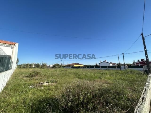 Terreno venda em Santarém