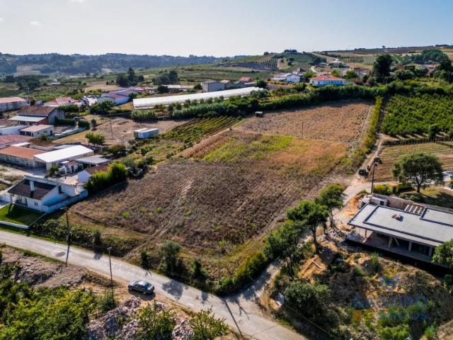 Terreno venda em Alcobaça, Leiria