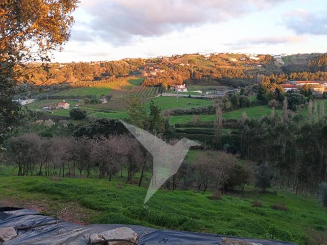 Terreno venda em Cruz das Mós, Alcobaça