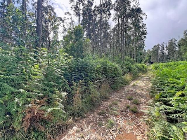 Terreno venda em Fazenda, Porto Moniz