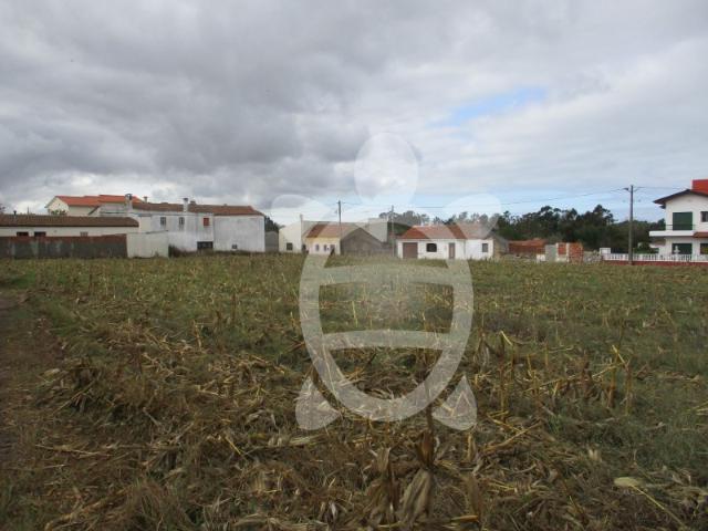 Terreno venda em Figueira Da Foz, Coimbra