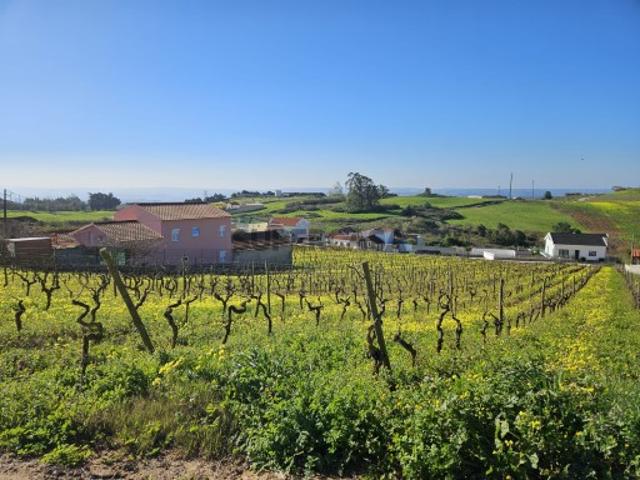 Terreno venda em Bombarral, Salgueiro