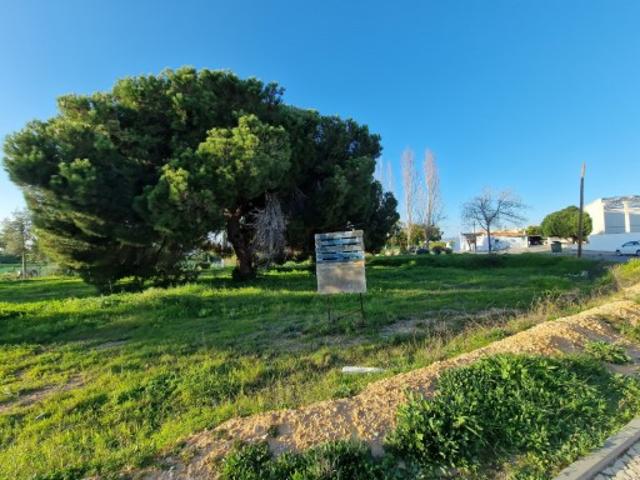 Terreno venda em Faro