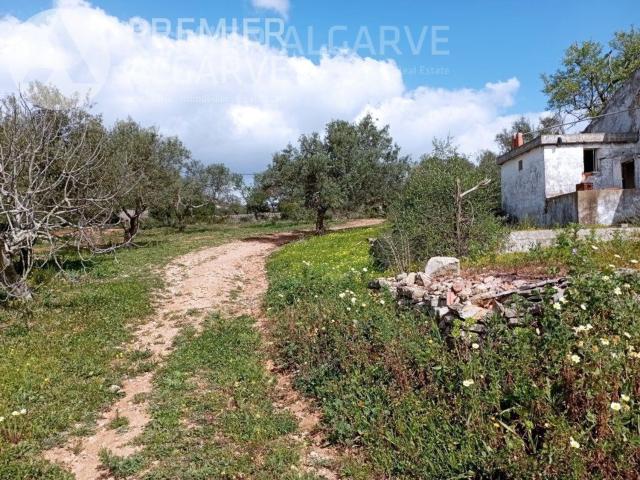 Terreno venda em Barranco de Apra, Loulé