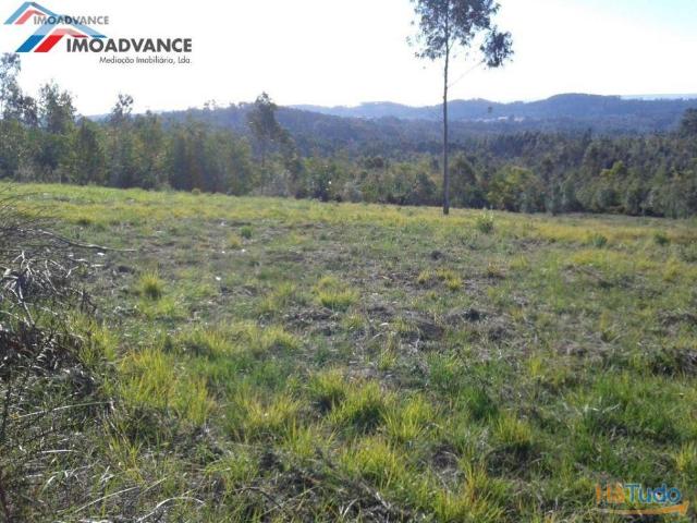Terreno venda em Figueira Da Foz, Coimbra