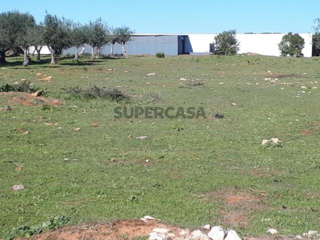 Terreno venda em Vila Viçosa Terreno venda em Vila Viçosa