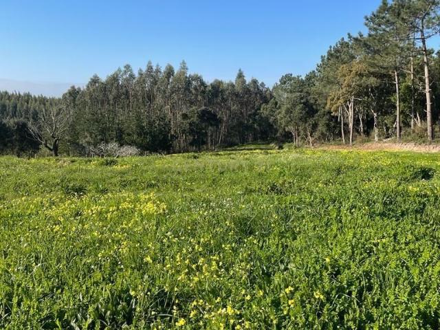 Terreno venda em Valado de Santa Quitéria, Alcobaça
