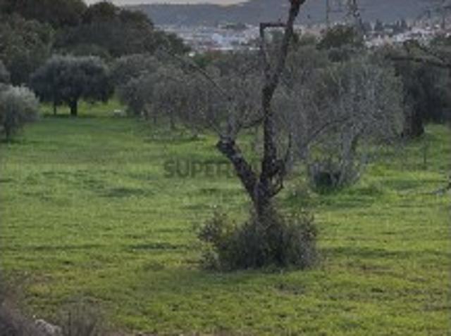 Terreno venda em São Brás De Alportel, Faro