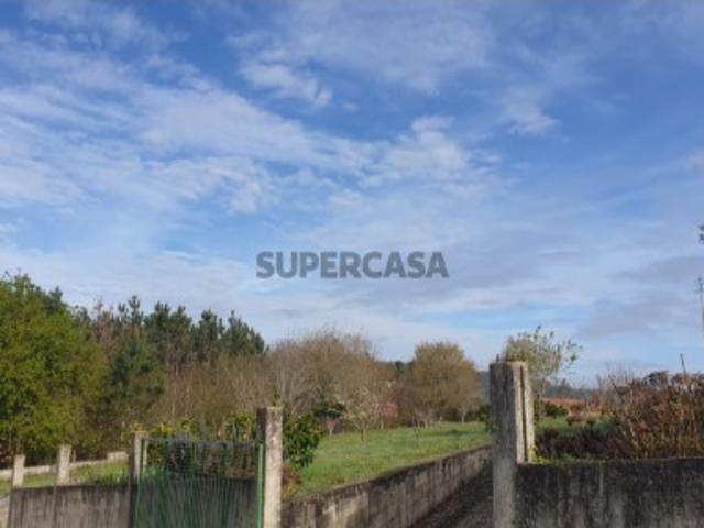 Terreno venda em Albergaria-a-velha, Aveiro