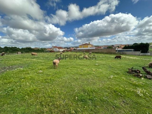 Terreno venda em Torres Vedras, Lisboa