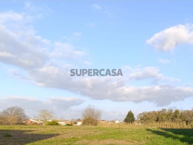 Terreno venda em Ílhavo, Aveiro