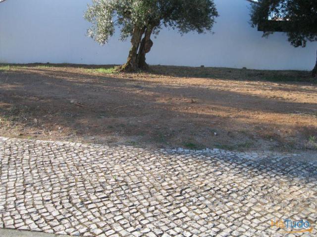 Terreno venda em Entroncamento, Santarém