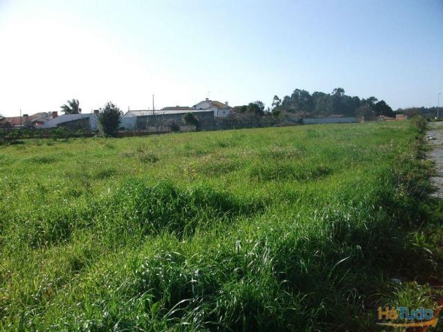 Terreno venda em Santa Maria Da Feira, Aveiro