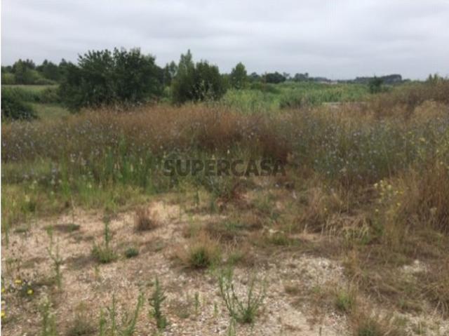 Terreno venda em Anadia, Aveiro