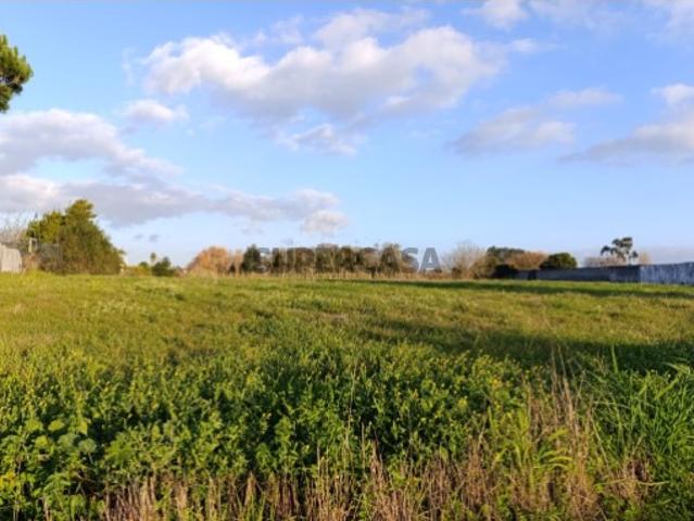 Terreno venda em Ílhavo, Aveiro