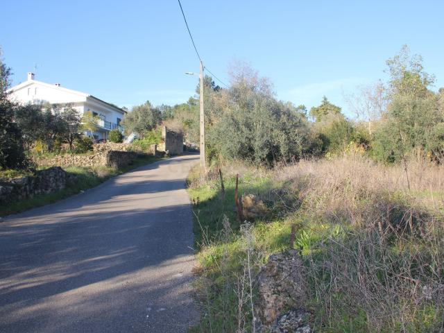 Terreno venda em Bruscos, Condeixa-a-nova