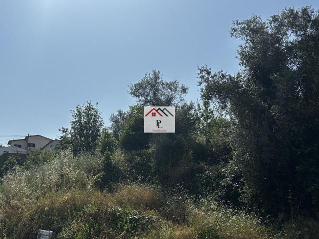 Terreno venda em Tovim, Coimbra