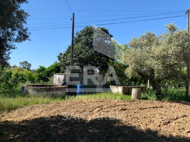 Terreno venda em Santarém