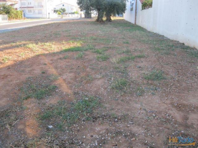 Terreno venda em Entroncamento, Santarém