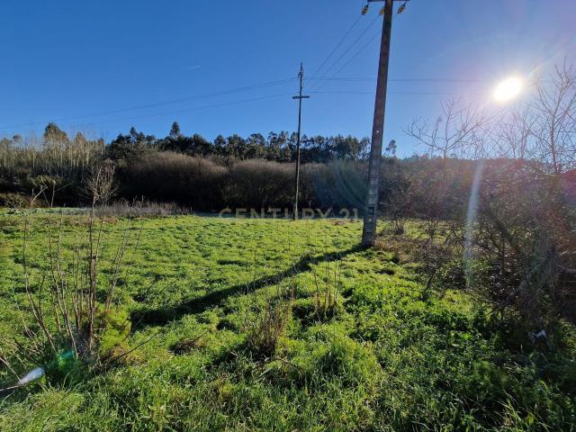 Terreno venda em Pombal, Leiria
