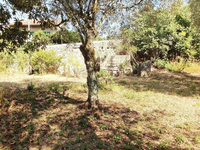 Terreno venda em Coimbrã, Vil De Matos
