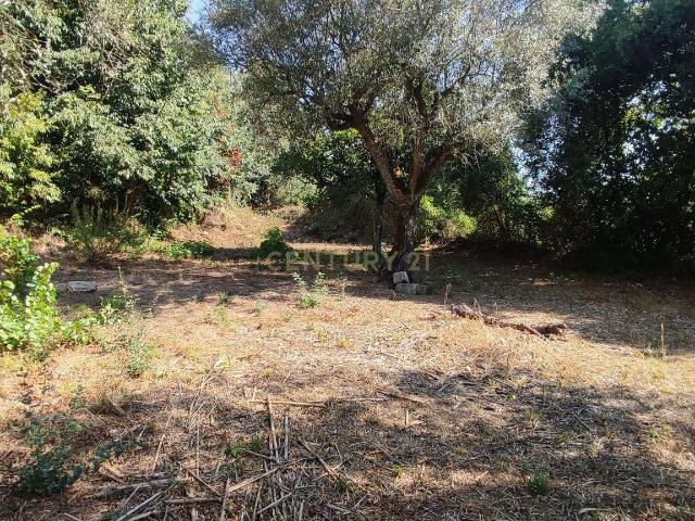 Terreno venda em Coimbrã, Vil De Matos