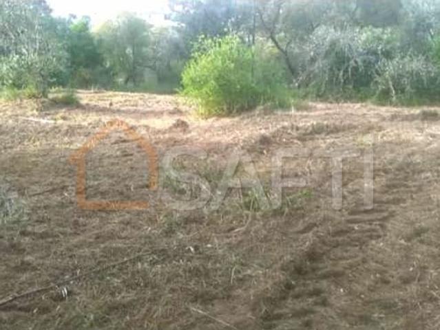 Terreno venda em Ourém, Santarém