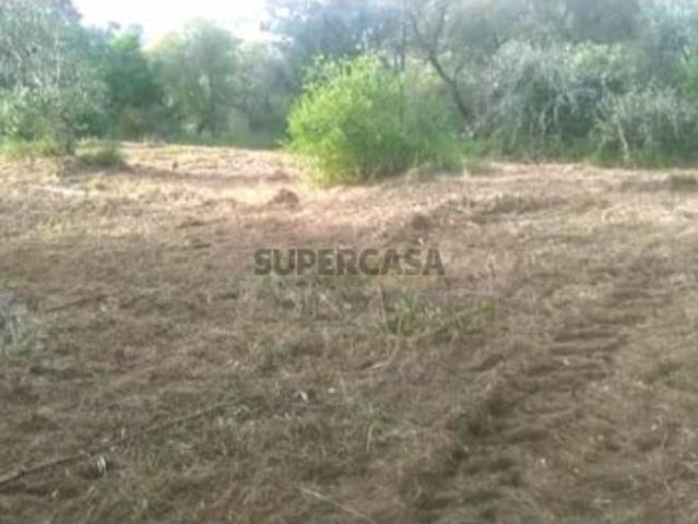 Terreno venda em Ourém, Santarém