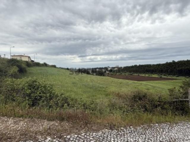 Terreno venda em Porto De Mós, Leiria
