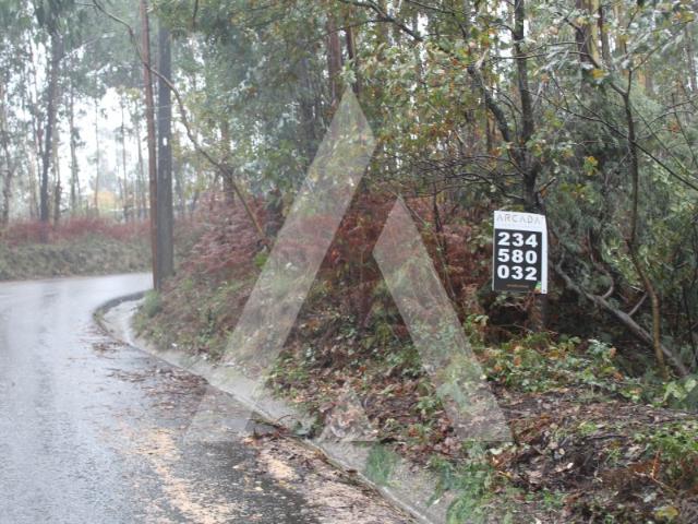 Terreno venda em Rachado, Sever Do Vouga