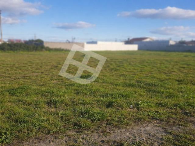 Terreno venda em Ílhavo, Aveiro