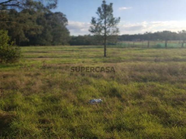 Terreno venda em Ílhavo, Aveiro